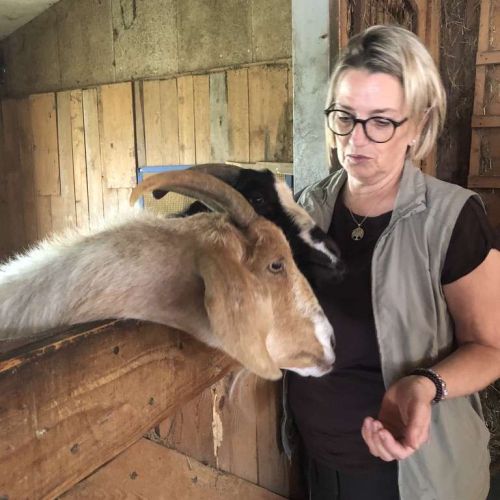 Tierkommunikatorin und Tierenergetikerin Conny mit den Ziegen Emmy und Mia