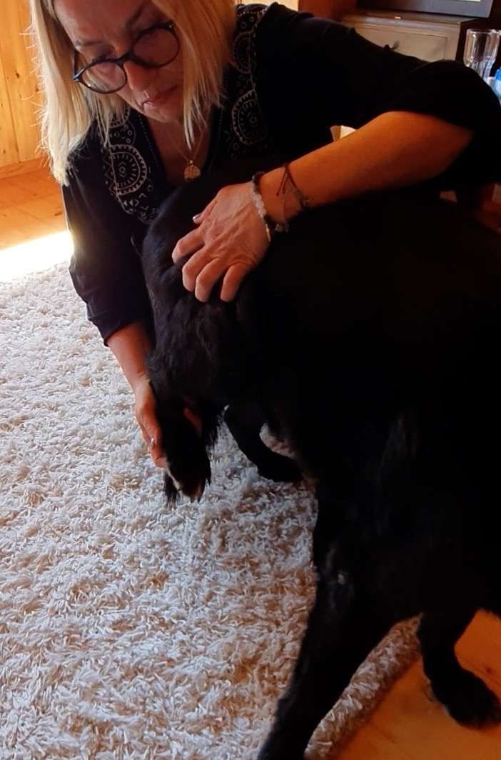 Conny macht die Rückenbalance am Hund