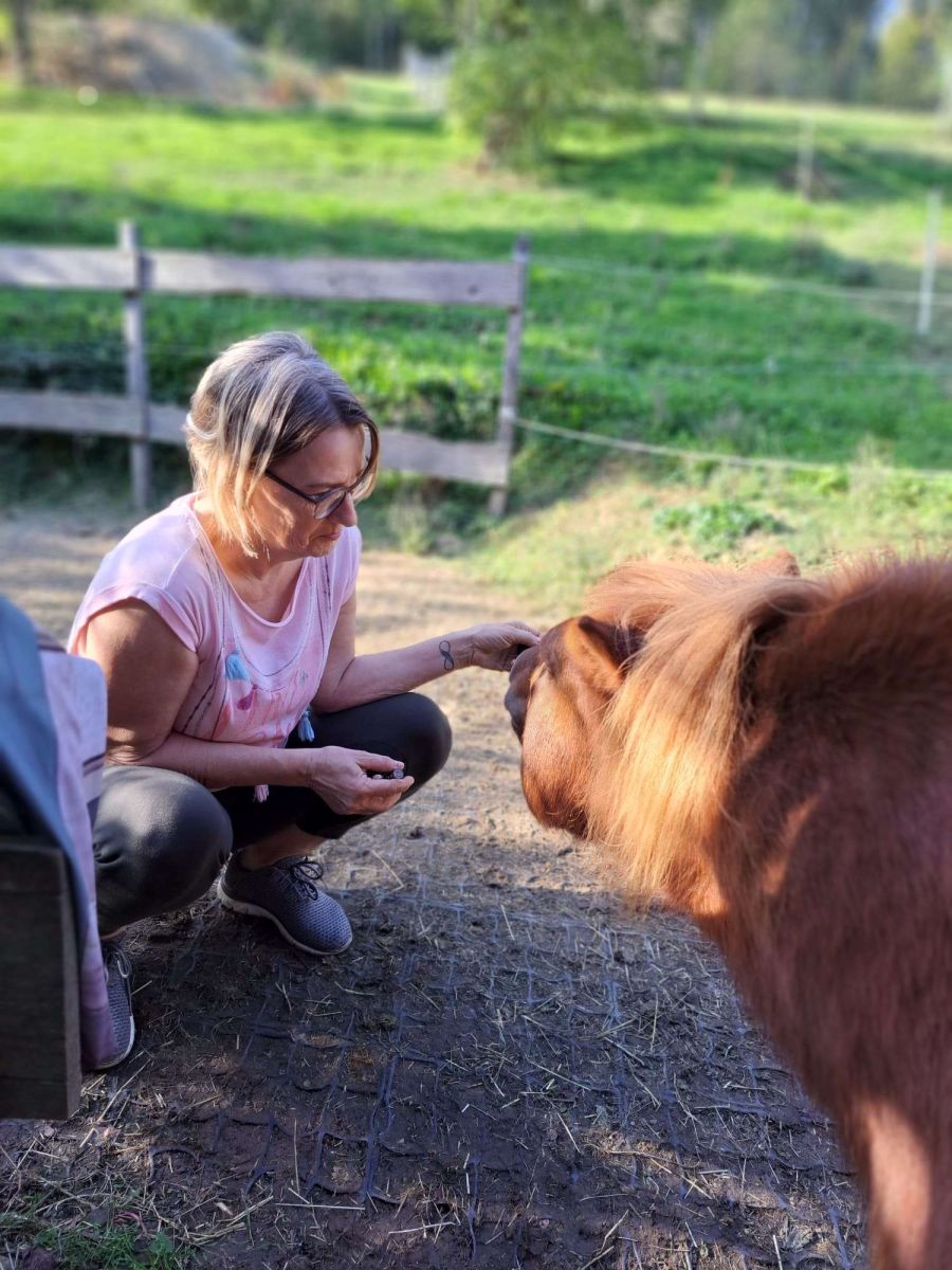 Tierenergetik Ätherisches Öl für Pony