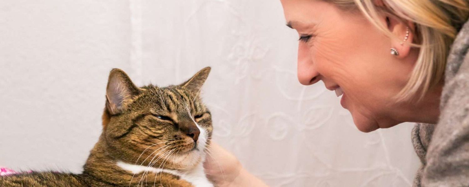 Conny bei der Tierkommunikation