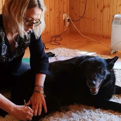 Meridianbalance beim Hund